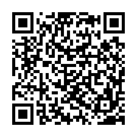 QR code for PPZ716