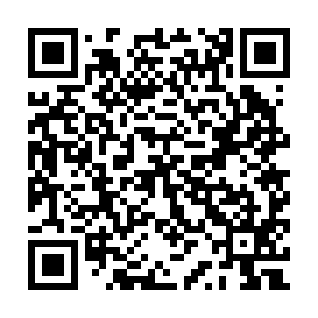 QR code for PRG295