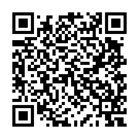 QR code for PRG497