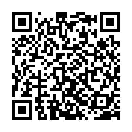 QR code for PRI339
