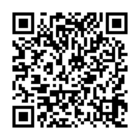 QR code for PSH919