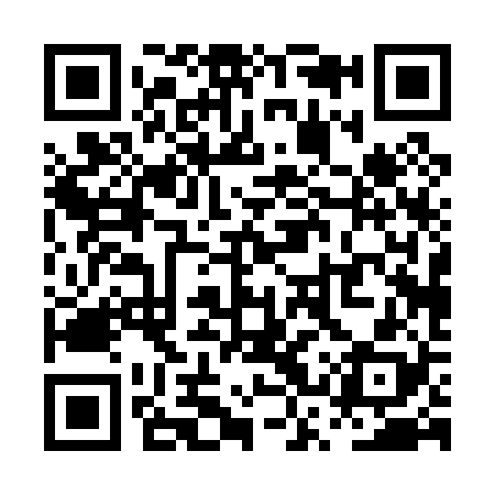 QR code for PSP028