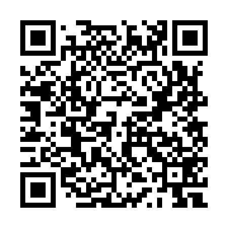 QR code for PTR959
