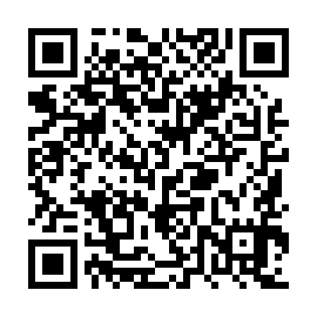 QR code for PTY095
