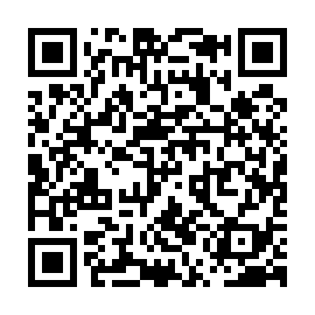 QR code for PUA539