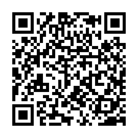 QR code for PUB228