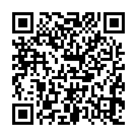 QR code for PUF173