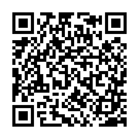 QR code for PUN543