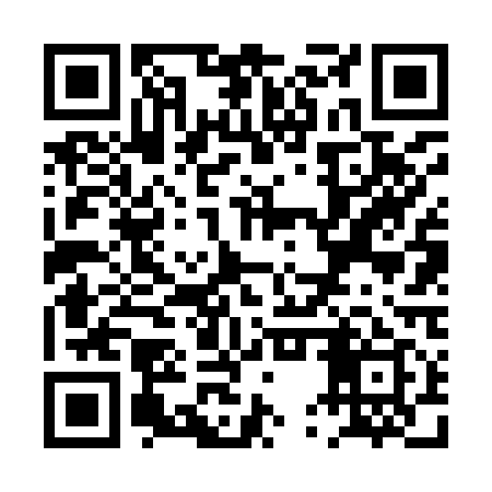 QR code for PUV919