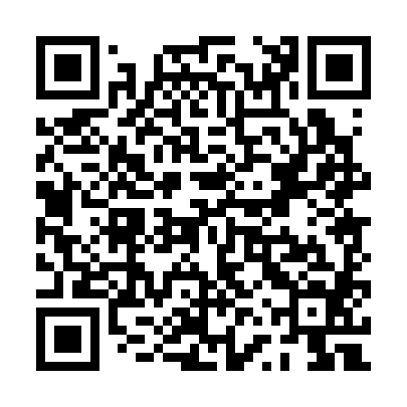 QR code for PVP384