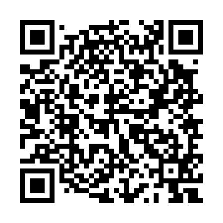 QR code for PVZ095