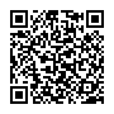 QR code for PYE029