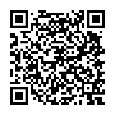 QR code for PYE491