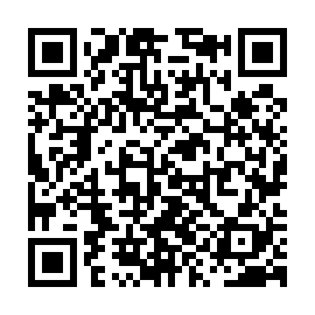 QR code for PYN528