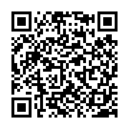 QR code for PYO651