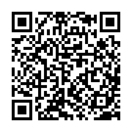 QR code for PYP381