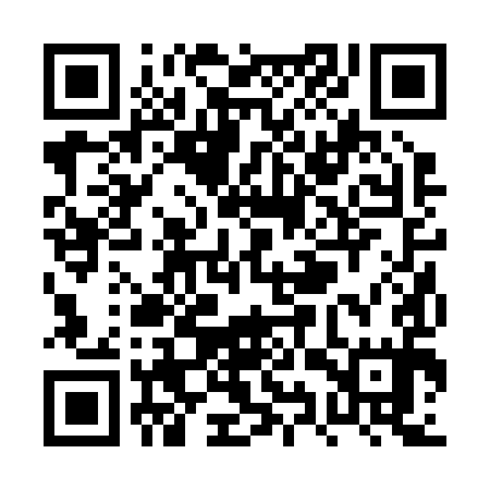 QR code for PYR295