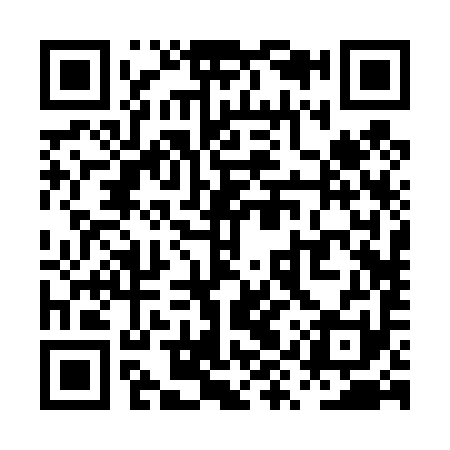 QR code for PYR491