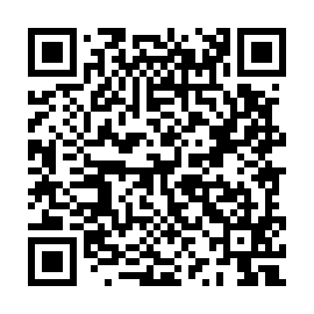 QR code for PZH595