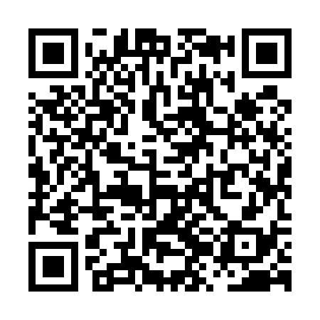QR code for PZI538