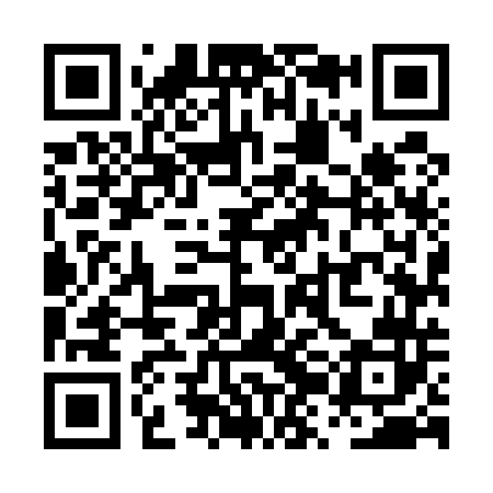 QR code for PZM542