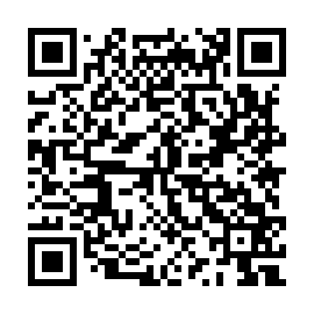QR code for PZM963