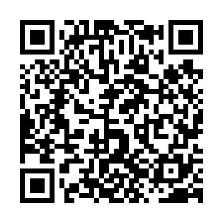 QR code for PZN675