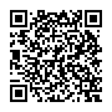 QR code for PZQ225