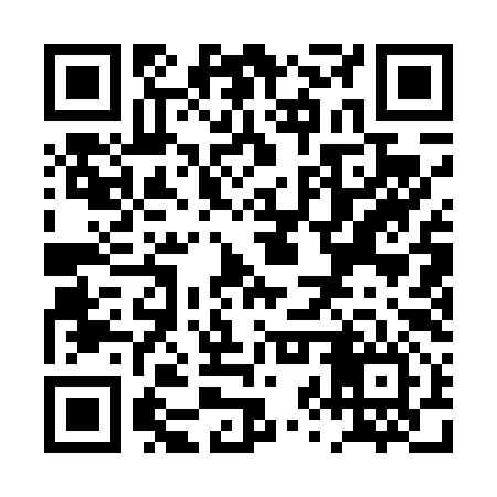 QR code for PZQ496