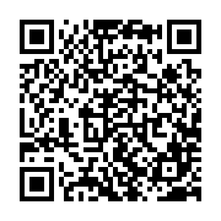QR code for PZT386