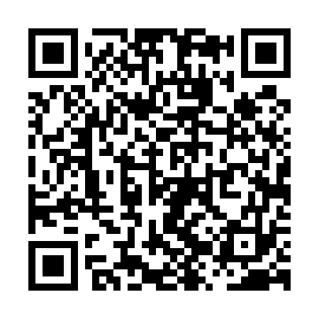 QR code for PZT573