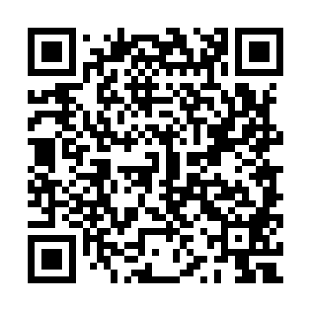 QR code for PZT988