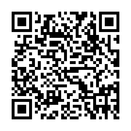 QR code for PZU391