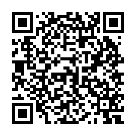 QR code for PZZ255