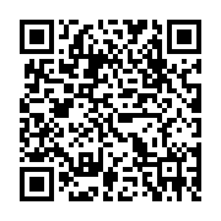 QR code for PZZ500