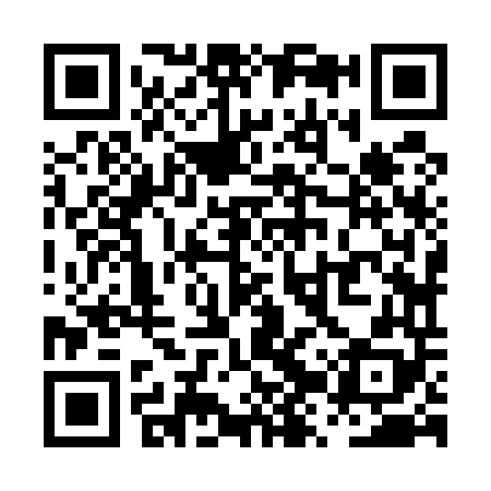 QR code for PZZ548