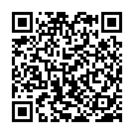 QR code for RAI338