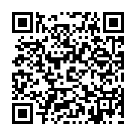 QR code for RAL917