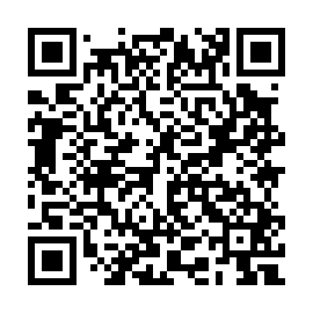 QR code for RAY041