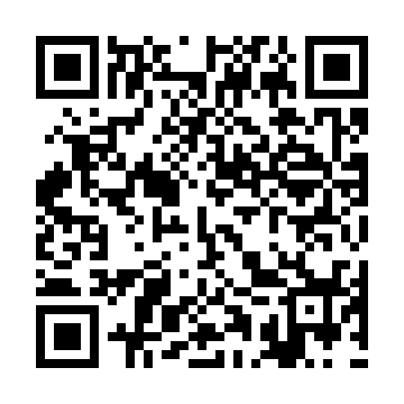 QR code for RAY338