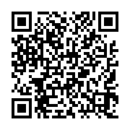 QR code for RAY413