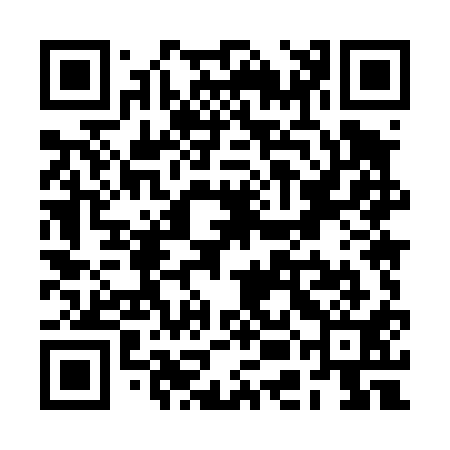 QR code for REM411