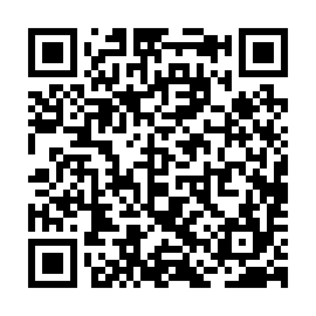 QR code for RFP294