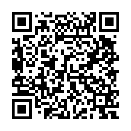 QR code for RFX461