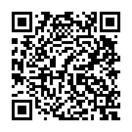 QR code for RII413
