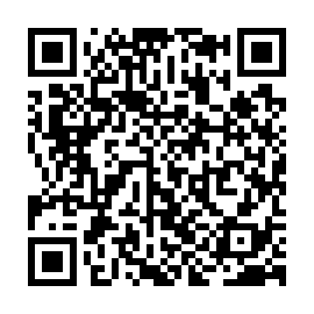 QR code for RII738
