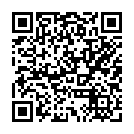 QR code for RIL381