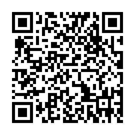 QR code for RIO313