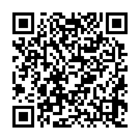 QR code for RIO378
