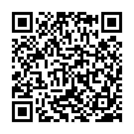 QR code for RIS532